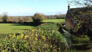 hedge cutting and fence repair Heathfield