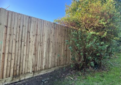 fence repairs broad oak east sussex
