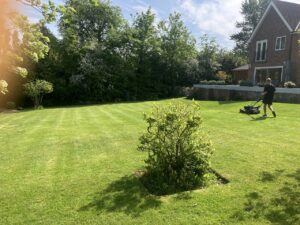 mowing, gardening, fence installation, Dallington, Sussex