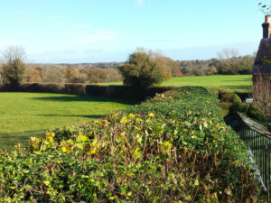 hedge cutting and fencing mayfield sussex